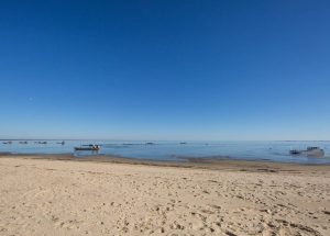 Prestigious-Cap-Ferret-Regina-Beach-View-1