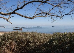 Prestigious-Cap-Ferret-Regina-Sea-View-1