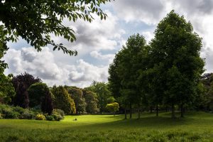 Avenue Bertie Albrecht