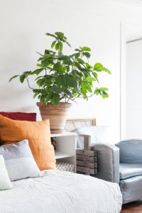 Rue de la Chaussée d'Antin