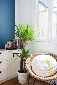 Rue des Saints-Pères II