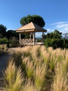 2021-03-12-761edd867c27206fd0785341050a10e4