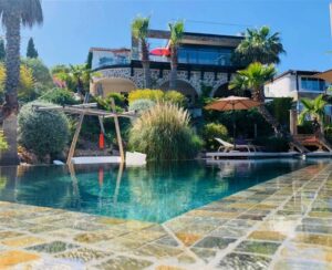 75c48545-5e0a-4a0a-a768-f7d977c91732