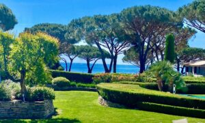 2021-05-31-6055021d8673e49879e7d