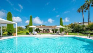 tWlKdCdvR6q0eWqngGpt_f8863629-11